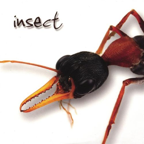 Cover for Insect (CD) (2006)