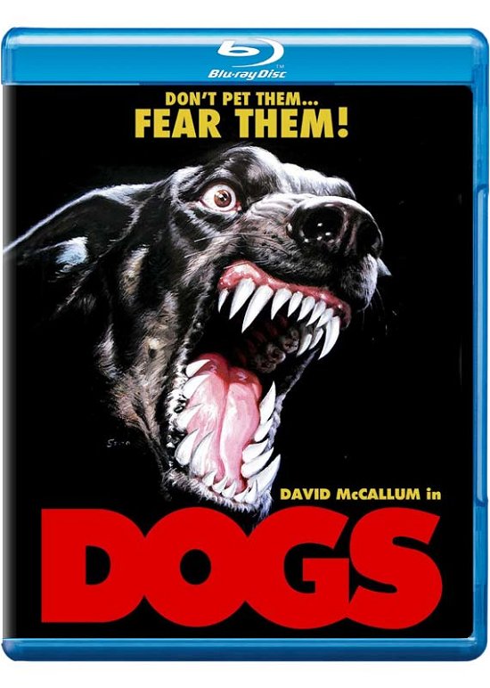 Cover for Dogs (Blu-ray) (2014)