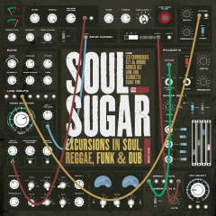 Cover for Soul Sugar · Excursions In Soul Reggae Funk &amp; Dub (LP) (2021)