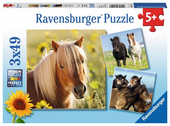 Puzzel Schattige Pony`s: 3x49 stukjes (080113) - Ravensburger - Books - Ravensburger - 4005556080113 - February 26, 2019