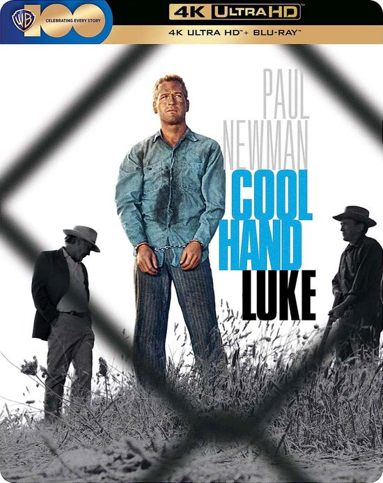 Cover for Cool Hand Luke (4K UHD Blu-ray) [Steelbook edition] (2023)