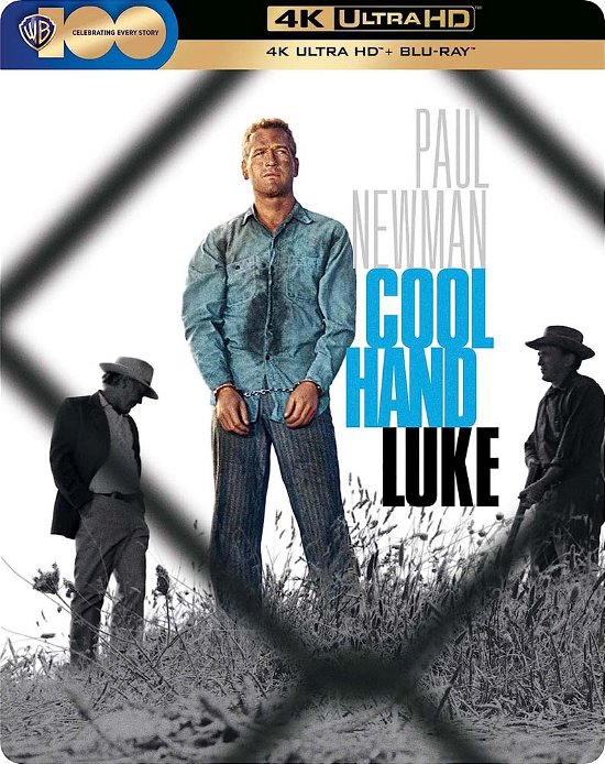 Cover for Cool Hand Luke (4K Ultra HD) [Steelbook edition] (2023)