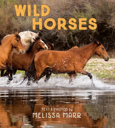 Cover for Melissa Marr · Wild Horses (Hardcover Book) (2022)