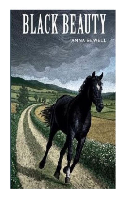 Cover for Anna Sewell · Black Beauty (Paperback Book) (2013)