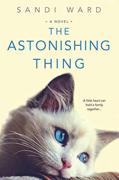 Cover for Sandi Ward · The Astonishing Thing (Paperback Book) (2017)