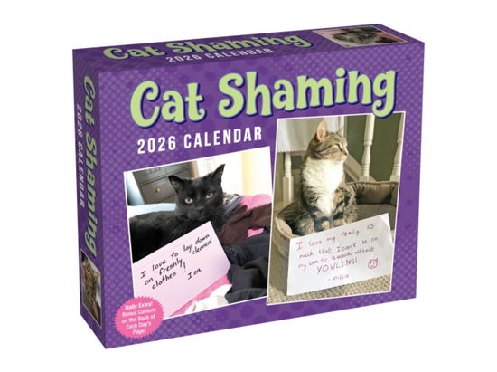 Cover for Pedro Andrade · Cat Shaming 2026 Day-to-Day Calendar (Kalender) (2025)