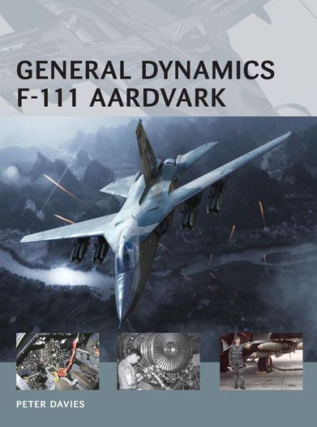 Cover for Peter E. Davies · General Dynamics F-111 Aardvark - Air Vanguard (Paperback Book) (2013)