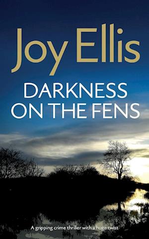 Cover for Joy Ellis · DARKNESS ON THE FENS a gripping crime thriller with a huge twist - Detective Nikki Galena Mysteries (Paperback Book) (2024)