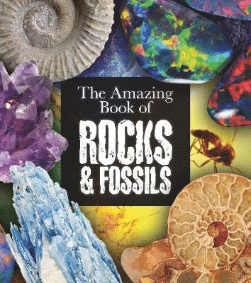 Cover for Claudia Martin · The Amazing Book of Rocks and Fossils - Amazing Books (Paperback Book) (2020)