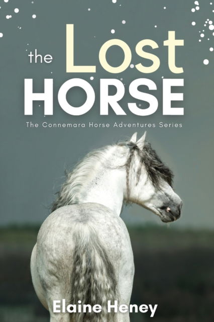 Cover for Elaine Heney · The Lost Horse: Book 6 in the Connemara Horse Adventure Series for Kids - Connemara Horse Adventures (Paperback Book) (2022)