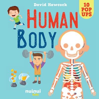 Human Body - Amazing pop-ups - David Hawcock - Books - nuinui - 9782889754113 - February 13, 2024