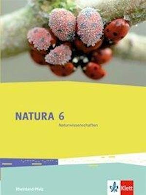 Cover for Klett Ernst /Schulbuch · Natura 6 Naturwissenschaften. Rheinland-Pfalz. Schülerbuch 6. Schuljahr (Hardcover Book) (2016)