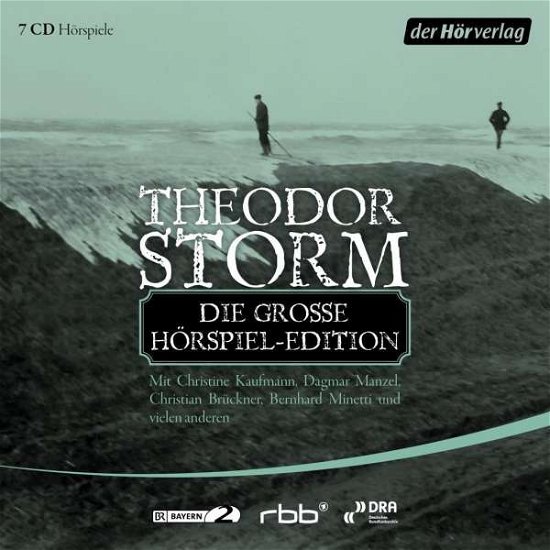 Cover for Storm · Die große Hörspiel-Edition, (Bog)