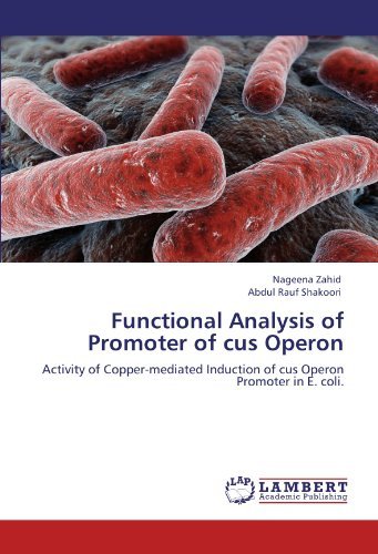 Cover for Abdul Rauf Shakoori · Functional Analysis of Promoter of Cus Operon: Activity of Copper-mediated Induction of Cus Operon Promoter in E. Coli. (Taschenbuch) (2011)
