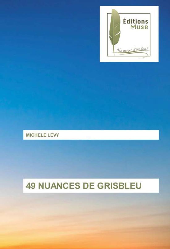 Cover for Levy · 49 Nuances De Grisbleu (Book)