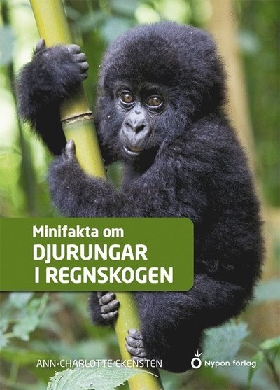 Cover for Ann-Charlotte Ekensten · Minifakta om ...: Minifakta om djurungar i regnskogen (Gebundesens Buch) (2021)