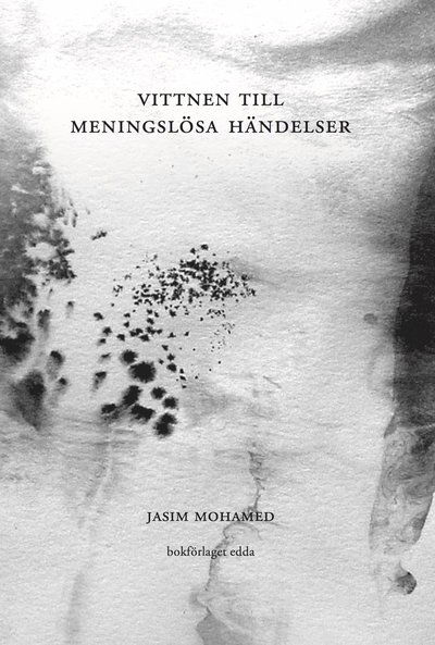 Cover for Jasim Mohamed · Vittnen till meningslösa händelser (Paperback Book) (2017)