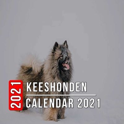 Keeshonden Calendar 2021: 12-month mini Calendar from Jan 2021 to Dec 2021, Cute Gift Idea For Keeshonden Lovers Or Owners Men And Women - Pictures in Every Month - Jeff Austin - Książki - Independently Published - 9798727310113 - 24 marca 2021