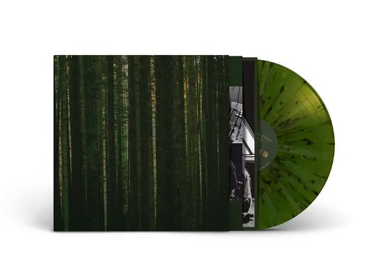 Cover for Paper Kites · Evergreen - FOREST GREEN (LP) [RSD 2024 edition] (2024)