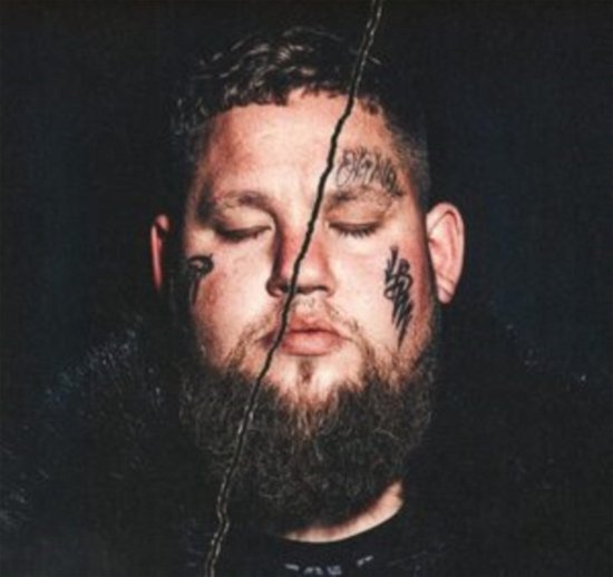 Cover for Ragnbone Man · Life By Misadventure (LP) (2021)