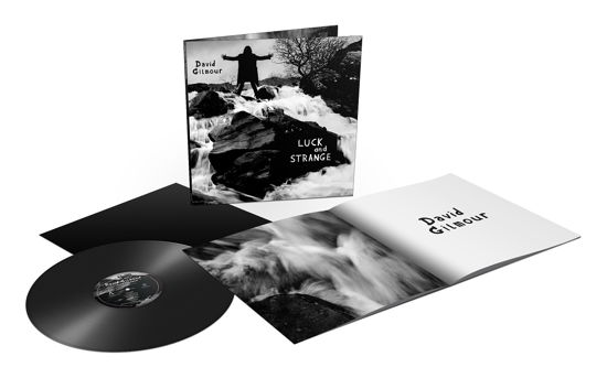 Cover for David Gilmour · Luck And Strange (LP) [Black Vinyl edition] (2024)