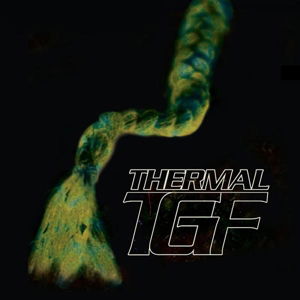 Cover for Teengirl Fantasy · Thermal (LP) (2014)