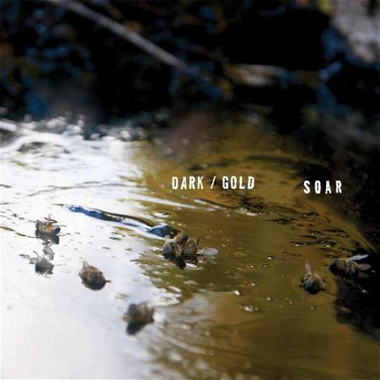 Cover for Soar · Dark / Gold (LP) (2017)