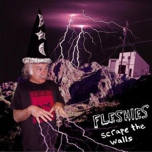 Cover for Fleshies · Scrape The Walls (LP) (2006)