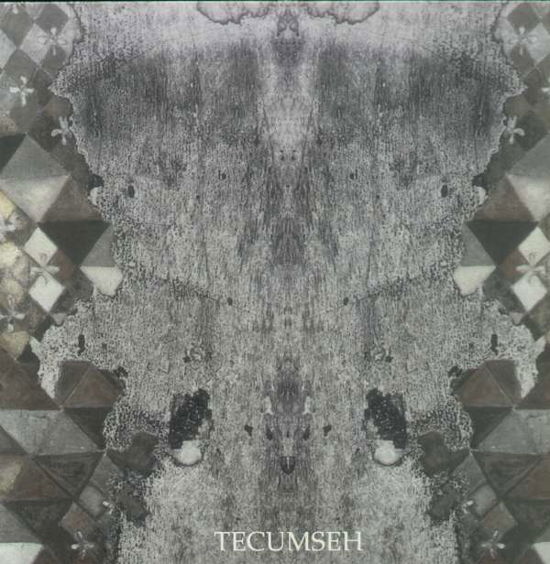 Cover for Tecumseh · Avalanche &amp; Inundation (LP) (2008)