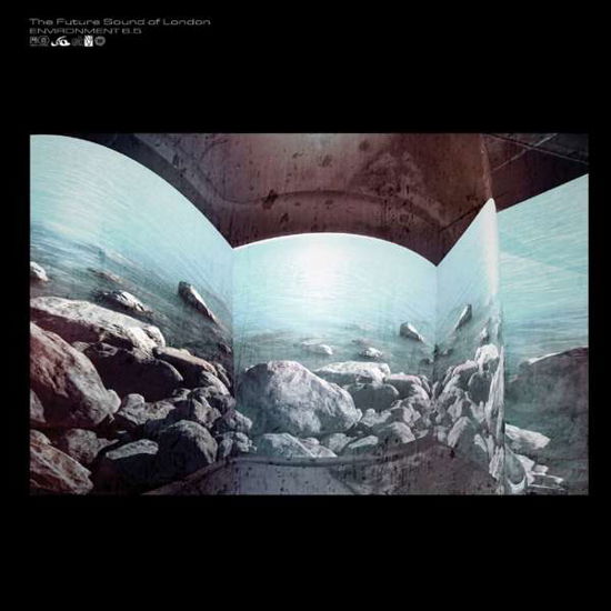 Environment 6.5 - Future Sound of London - Musik - JUMPIN & PUMPIN - 5013993907114 - 11. november 2016
