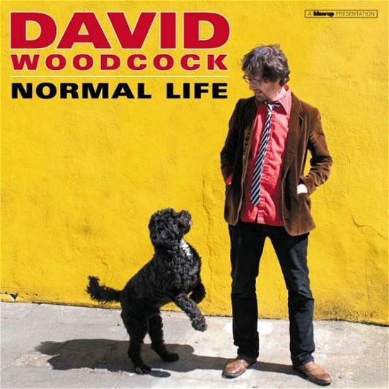 Cover for David Woodcock · Normal Life (LP) (2019)