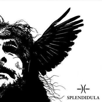 Cover for Spendidula · Somnus (CD) (2021)