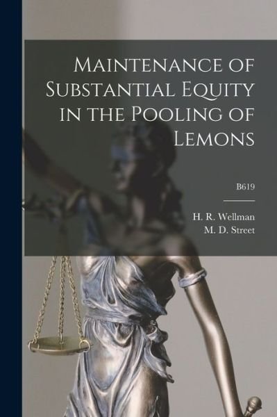 Cover for H R (Harry Richard) 1899- Wellman · Maintenance of Substantial Equity in the Pooling of Lemons; B619 (Pocketbok) (2021)