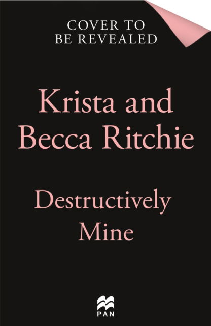 Cover for Krista Ritchie · Destructively Mine: A deliciously angsty small town romance from TikTok sensations and authors of the Addicted series - Webs We Weave (Paperback Book) (2025)