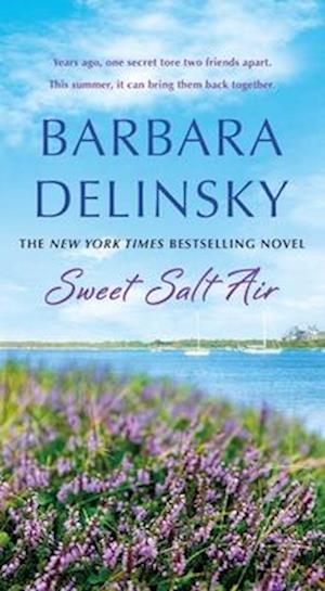 Cover for Barbara Delinsky · Sweet Salt Air (Bog) (2025)