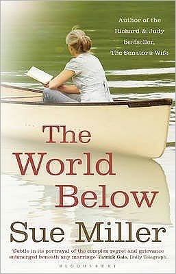 Cover for Sue Miller · The World Below (Pocketbok) (2009)