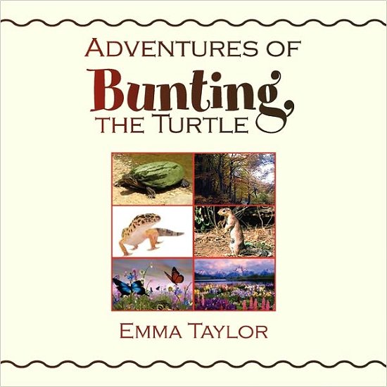 Cover for Emma Taylor · Adventures of Bunting, the Turtle (Paperback Book) (2011)