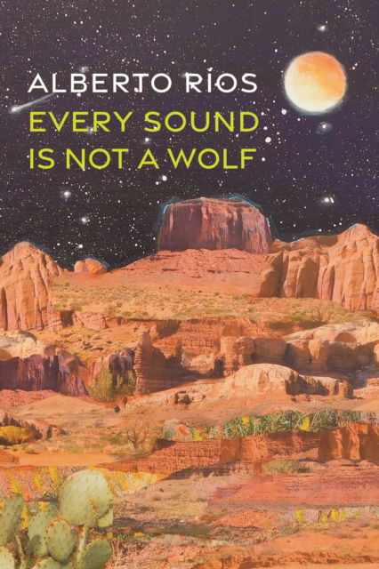 Cover for Alberto Ros · Every Sound Is Not a Wolf (Paperback Book) (2025)