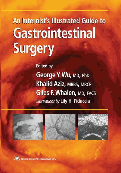 An Internist's Illustrated Guide to Gastrointestinal Surgery - Clinical Gastroenterology - George Y Wu - Books - Humana Press Inc. - 9781617373114 - November 9, 2010