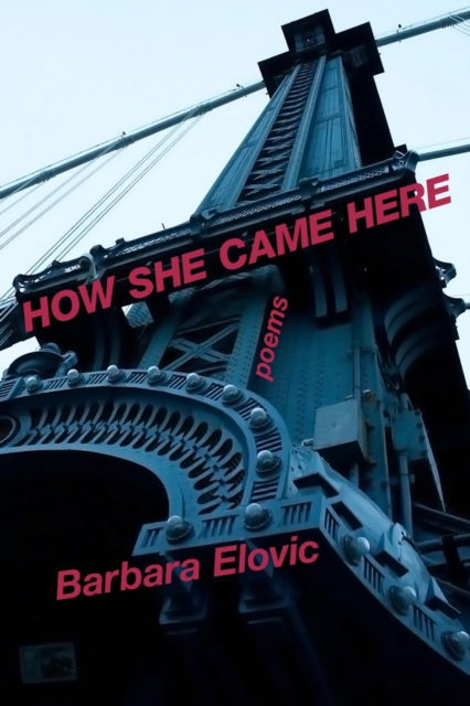 How She Came Here - Barbara Elovic - Books - Kelsay Books - 9781639801114 - March 30, 2022