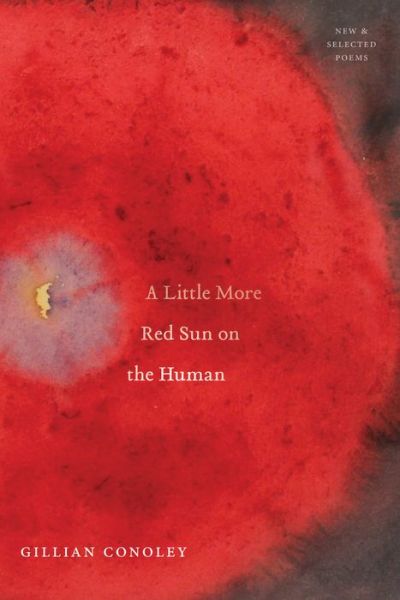 Cover for Gillian Conoley · A Little More Red Sun on the Human: New &amp; Selected Poems (Paperback Book) (2019)