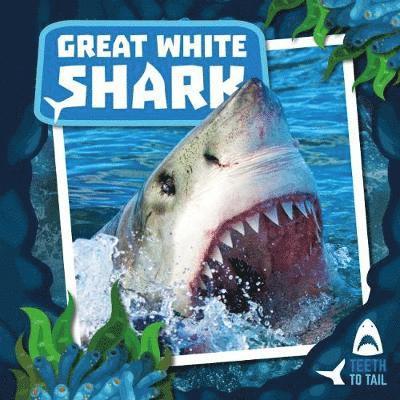 Cover for Robin Twiddy · Great White Shark - Teeth to Tail (Hardcover Book) (2019)