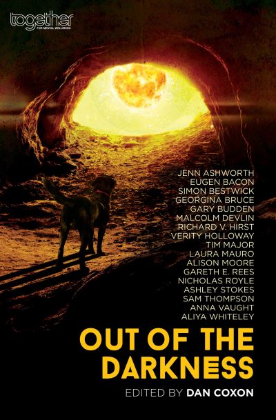Cover for Verity Holloway · Out of the Darkness (Paperback Book) (2021)
