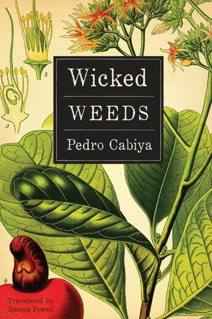 Cover for Pedro Cabiya · Wicked Weeds: A Zombie Novel (Taschenbuch) (2016)