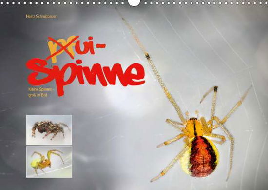 Ui - Spinne. Kleine Spinnen - Schmidbauer - Books -  - 9783671009114 - 