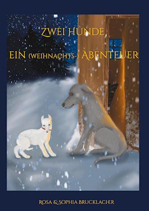 Cover for Sophia Brucklacher · Zwei Hunde ein (weihnachts-) Abenteuer (Book) (2023)