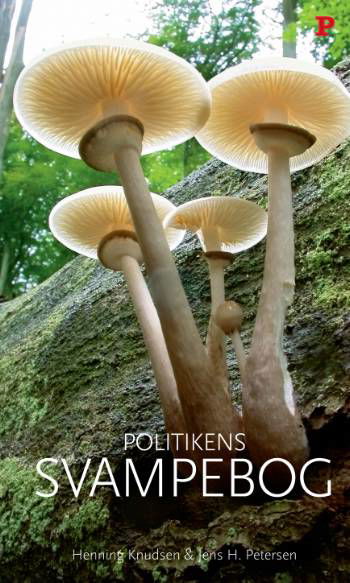 Cover for Jens H. Petersen Henning Knudsen · Politikens håndbøger: Politikens svampebog (Innbunden bok) [5. utgave] [Indbundet] (2003)
