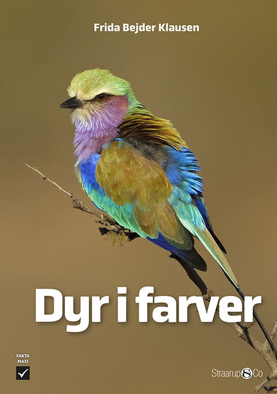 Cover for Frida Bejder Klausen · Maxi: Dyr i farver (Inbunden Bok) [1:a utgåva] (2023)