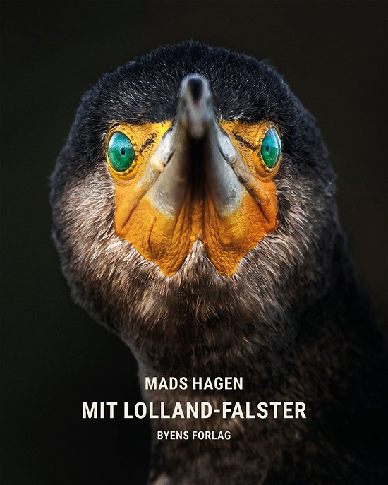Mit Lolland-Falster - Mads Hagen - Bøger - Byens Forlag - 9788794215114 - 15. oktober 2021