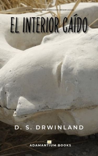 Cover for D S Drwinland · El interior caido (Paperback Book) (2021)